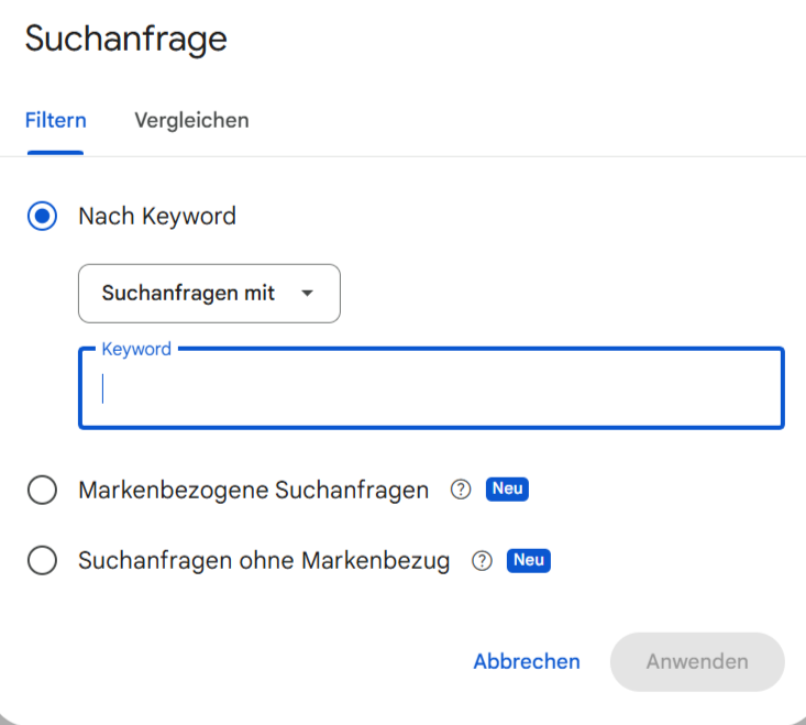 Branded Queries Filter in der Google Search Console